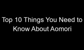 Top 10 Things You Need to Know About Aomori