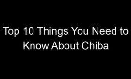 Top 10 Things You Need to Know About Chiba