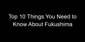Read more about the article Top 10 Things You Need to Know About Fukushima