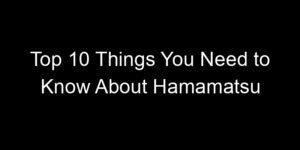 Read more about the article Top 10 Things You Need to Know About Hamamatsu