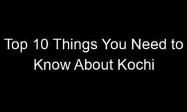 Top 10 Things You Need to Know About Kochi