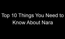 Top 10 Things You Need to Know About Nara
