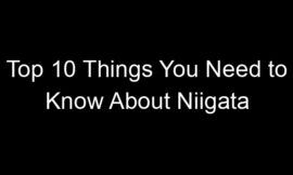 Top 10 Things You Need to Know About Niigata