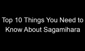Top 10 Things You Need to Know About Sagamihara