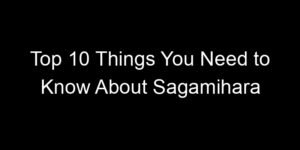 Read more about the article Top 10 Things You Need to Know About Sagamihara