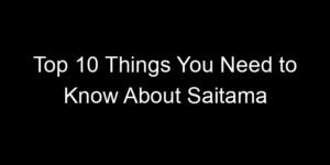 Read more about the article Top 10 Things You Need to Know About Saitama