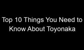 Top 10 Things You Need to Know About Toyonaka
