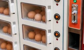 10 Most Bizarre Vending Machines in Japan That Actually Exist