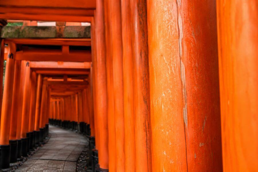Read more about the article 10 Most Overcrowded Tourist Spots in Japan (And Better Alternatives)