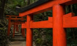 Top 10 Hidden Shinto Shrines That Locals Pray at But Tourists Skip