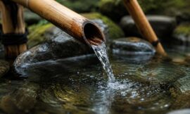 Top 10 Japanese Wellness Rituals You Can Bring Back Home