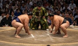 How to Attend a Sumo Wrestling Tournament in Tokyo