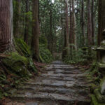 How to Visit Japan’s Sacred Kumano Kodo Pilgrimage Trails