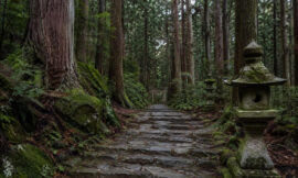 How to Visit Japan’s Sacred Kumano Kodo Pilgrimage Trails