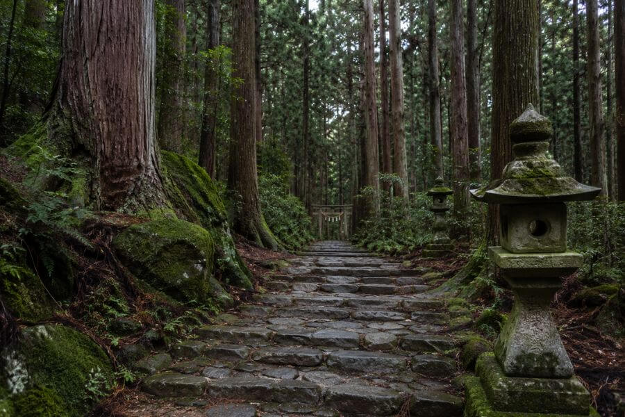 Read more about the article How to Visit Japan’s Sacred Kumano Kodo Pilgrimage Trails