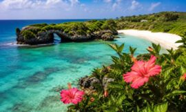 Okinawa Travel Guide: Beaches, Culture, and Tropical Vibes