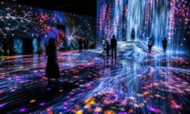 The Complete Guide to TeamLab Planets and Borderless in Tokyo